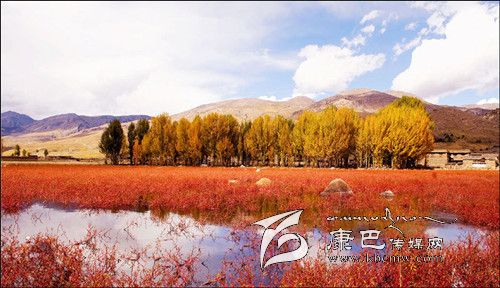 稻城亞?。?一個美得驚世駭俗的地方