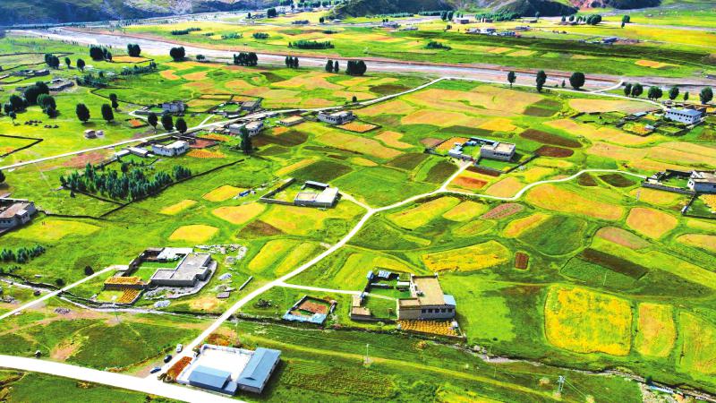 稻城縣噶通.jpg 稻城縣噶通.jpg